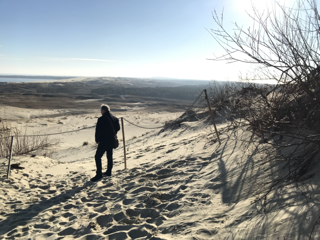 Der Sand der Düne ist immer in Bewegung, und um die Düne zu sichern, dürfen die Wege nicht verlassen werden. Hinter eine Absperrung aus Seil ist weite, sandige Landschaft zu sehen, im Vordergrund blühen Weidenkätzchen.